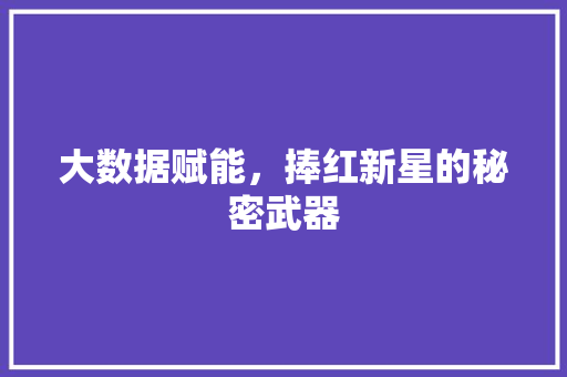 大数据赋能，捧红新星的秘密武器