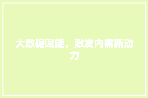 大数据赋能，激发内需新动力
