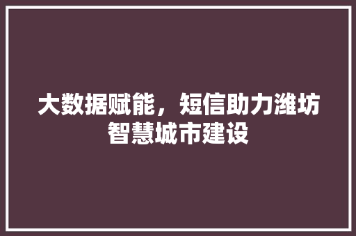 大数据赋能，短信助力潍坊智慧城市建设