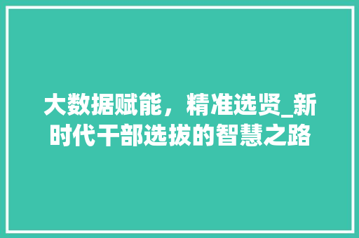 大数据赋能，精准选贤_新时代干部选拔的智慧之路