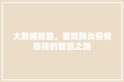 大数据赋能，襄樊肺炎疫情防控的智慧之路