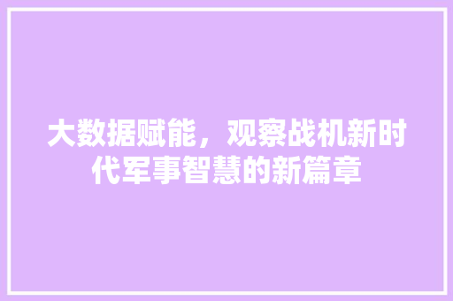大数据赋能，观察战机新时代军事智慧的新篇章