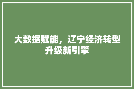 大数据赋能，辽宁经济转型升级新引擎