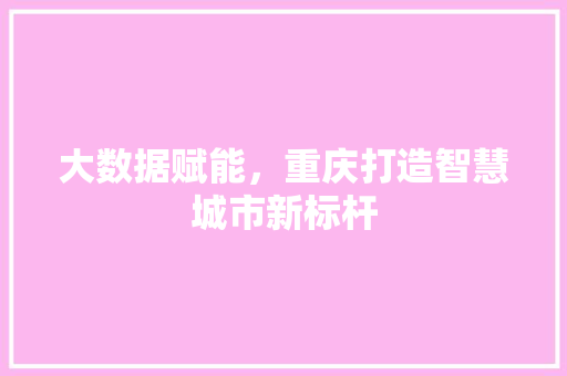 大数据赋能，重庆打造智慧城市新标杆