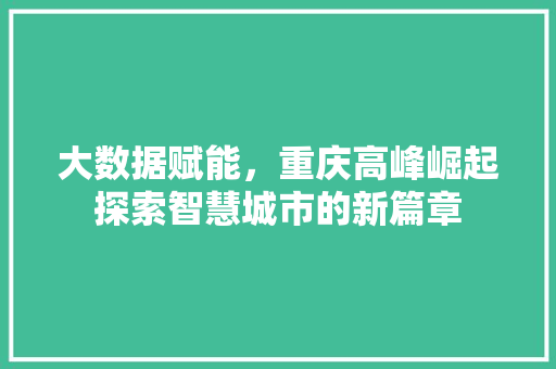大数据赋能，重庆高峰崛起探索智慧城市的新篇章