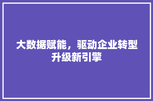 大数据赋能，驱动企业转型升级新引擎