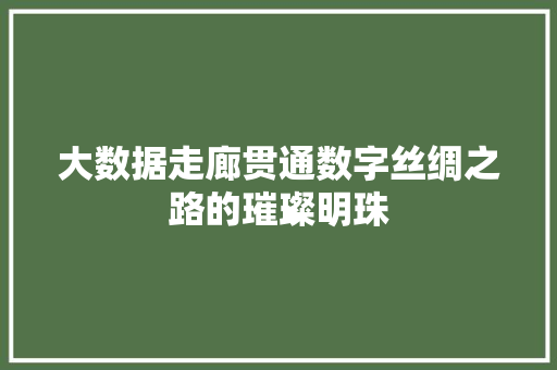 大数据走廊贯通数字丝绸之路的璀璨明珠