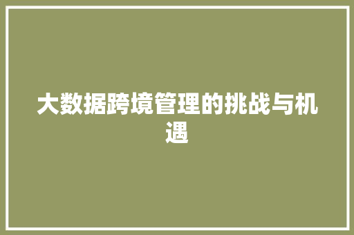 大数据跨境管理的挑战与机遇