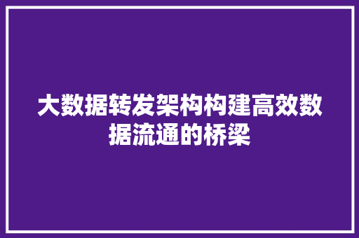 大数据转发架构构建高效数据流通的桥梁