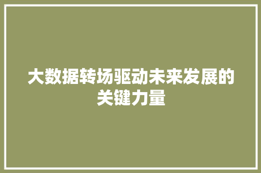 大数据转场驱动未来发展的关键力量
