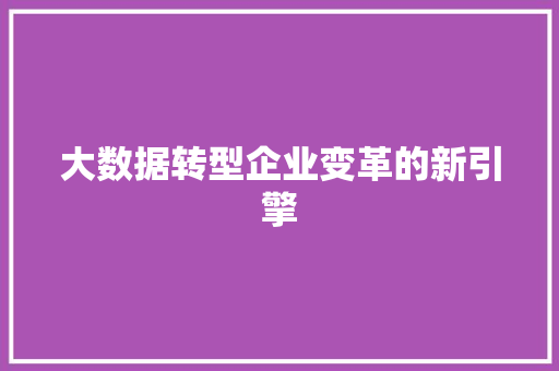 大数据转型企业变革的新引擎