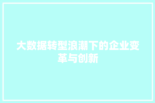 大数据转型浪潮下的企业变革与创新
