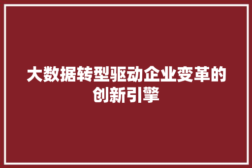 大数据转型驱动企业变革的创新引擎