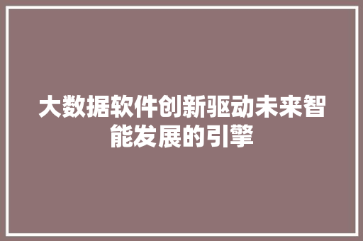 大数据软件创新驱动未来智能发展的引擎