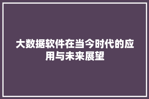 大数据软件在当今时代的应用与未来展望