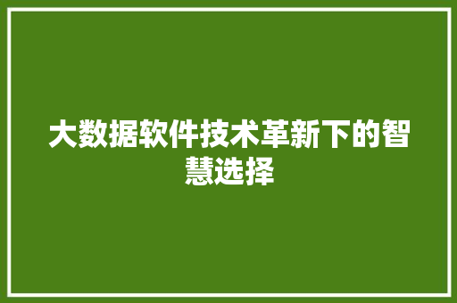 大数据软件技术革新下的智慧选择