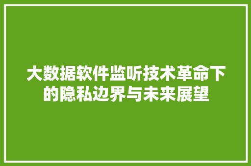 大数据软件监听技术革命下的隐私边界与未来展望