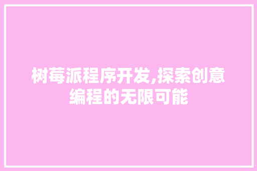 树莓派程序开发,探索创意编程的无限可能