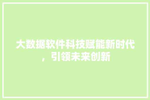 大数据软件科技赋能新时代，引领未来创新