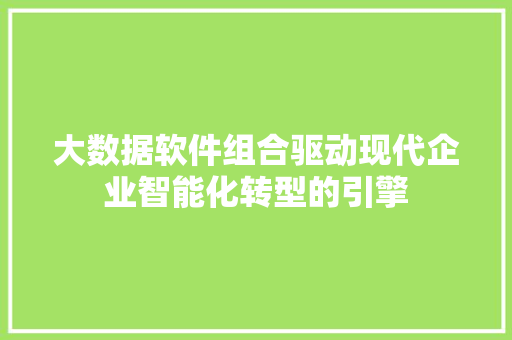 大数据软件组合驱动现代企业智能化转型的引擎