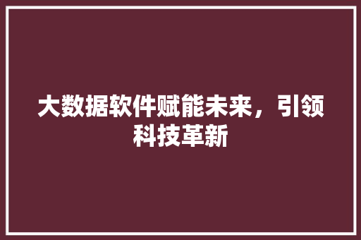大数据软件赋能未来，引领科技革新