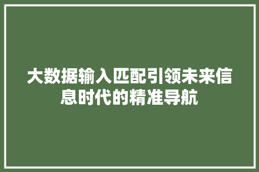 大数据输入匹配引领未来信息时代的精准导航