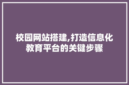 校园网站搭建,打造信息化教育平台的关键步骤
