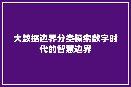 大数据边界分类探索数字时代的智慧边界