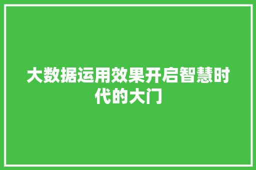 大数据运用效果开启智慧时代的大门