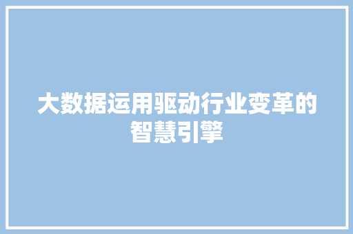 大数据运用驱动行业变革的智慧引擎