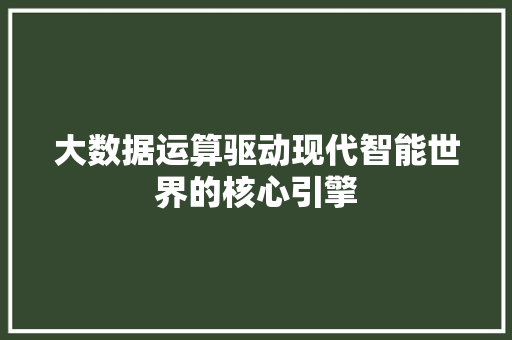 大数据运算驱动现代智能世界的核心引擎