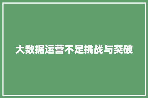 大数据运营不足挑战与突破
