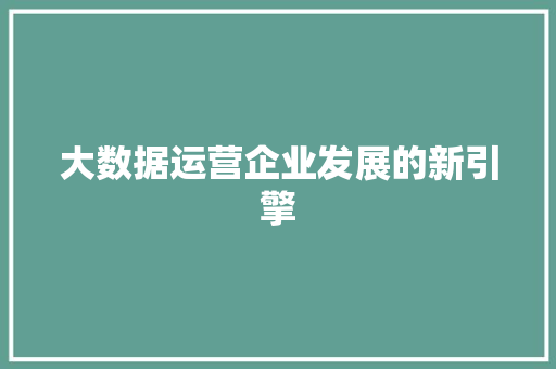 大数据运营企业发展的新引擎