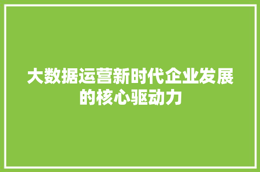 大数据运营新时代企业发展的核心驱动力