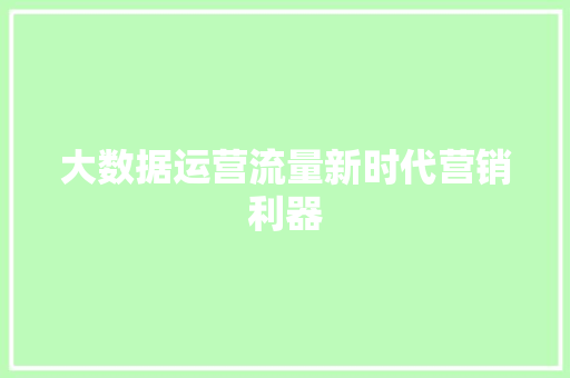 大数据运营流量新时代营销利器