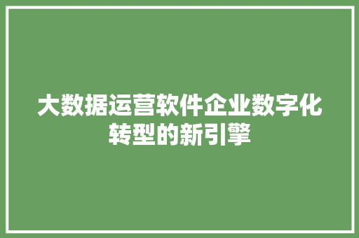 大数据运营软件企业数字化转型的新引擎