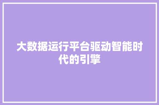 大数据运行平台驱动智能时代的引擎