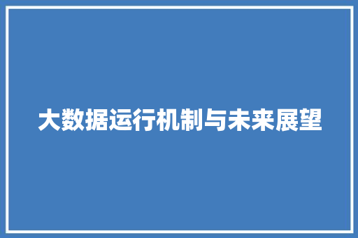 大数据运行机制与未来展望