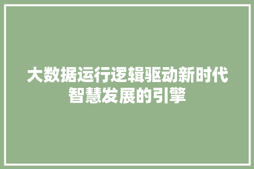 大数据运行逻辑驱动新时代智慧发展的引擎