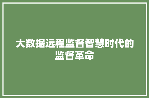 大数据远程监督智慧时代的监督革命