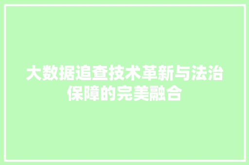大数据追查技术革新与法治保障的完美融合