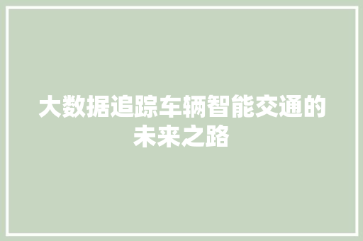 大数据追踪车辆智能交通的未来之路