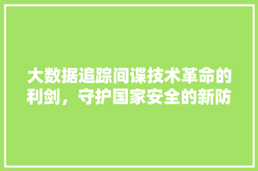 大数据追踪间谍技术革命的利剑，守护国家安全的新防线