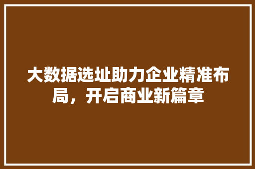 大数据选址助力企业精准布局，开启商业新篇章
