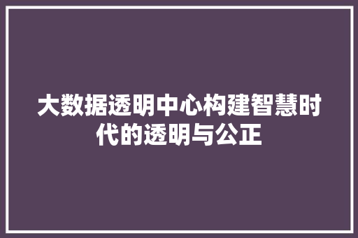 大数据透明中心构建智慧时代的透明与公正