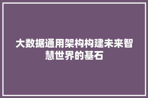 大数据通用架构构建未来智慧世界的基石