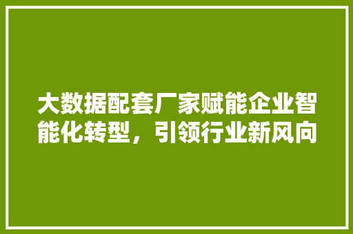 大数据配套厂家赋能企业智能化转型，引领行业新风向