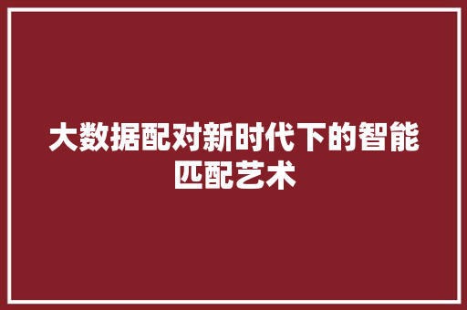 大数据配对新时代下的智能匹配艺术