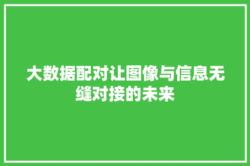 大数据配对让图像与信息无缝对接的未来