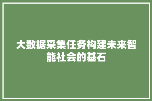 大数据采集任务构建未来智能社会的基石